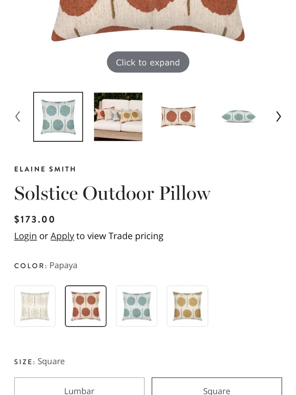 2 Elaine Smith Solstice Outdoor Pillow Set Square & Lumbar. Rt $300 2Modern